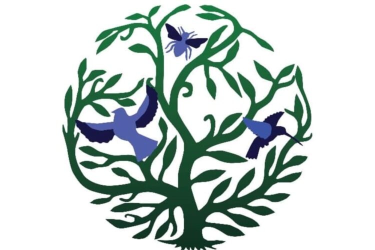 Wynne Farm en danger, Presnel Colas et Peterson Dorsainvil appellent à l'aide