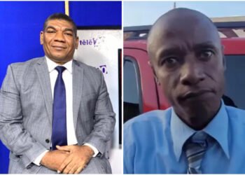 Trafic d’armes et de munitions : Robinson Pierre-Louis et Michelet virgile désormais libres