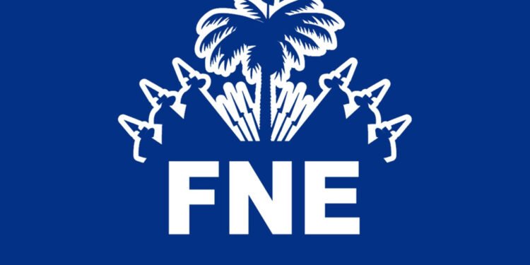 Le Fonds National de l’Éducation (FNE), une porte ouverte sur la grande corruption en Haïti