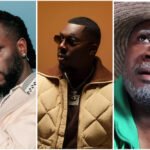 Accusations de plagiat Fabrice Rouzier poursuit Burna Boy Joé Dwèt Filé et Tonton Bicha