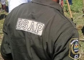 La résolution soutenant la Brigade de Surveillance des Aires Protégées (BSAP) constitue un véritable bluff