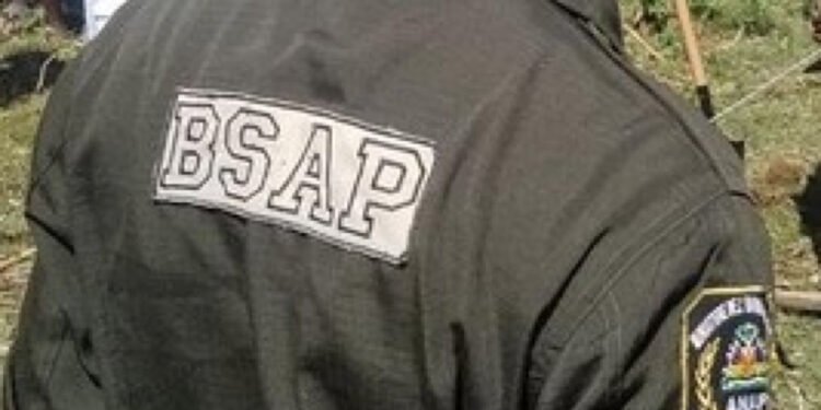 La résolution soutenant la Brigade de Surveillance des Aires Protégées (BSAP) constitue un véritable bluff