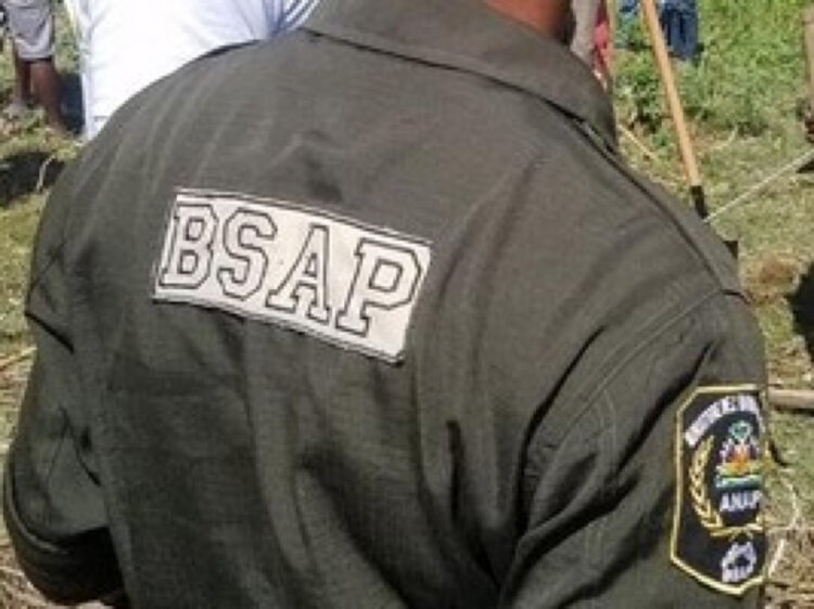 La résolution soutenant la Brigade de Surveillance des Aires Protégées (BSAP) constitue un véritable bluff