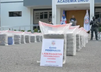 Les autorités de la République Dominicaine ont annoncé une saisie majeure de 1,5 tonne de cocaïne à la frontière avec Haïti